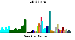 PBB GE RHEB 213404 s at tn.png