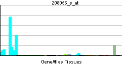 PBB GE CBFA2T3 208056 s at tn.png