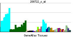 PBB GE ANAPC5 208722 s at tn.png