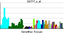 PBB GE CDC16 202717 s at tn.png