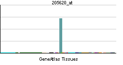 PBB GE F10 205620 at tn.png