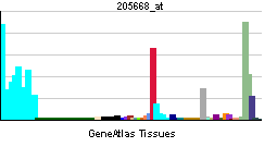 PBB GE LY75 205668 at tn.png