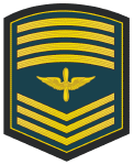 Sub-Oficial Maestre (Command Chief Master Sergeant).gif