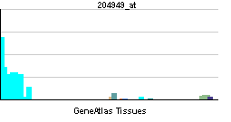 PBB GE ICAM3 204949 at tn.png