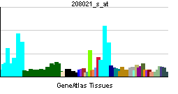 PBB GE RFC1 208021 s at tn.png