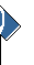 Kit right arm bosna legea 2013.png