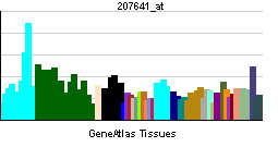 PBB GE TNFRSF13B 207641 at tn.png