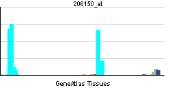 PBB GE CD27 206150 at tn.png