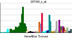 PBB GE DDR1 207169 x at tn.png