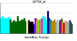 PBB GE USH2A 207706 at tn.png