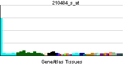 PBB GE TNFRSF10C 210484 s at tn.png