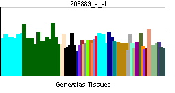 PBB GE NCOR2 208889 s at tn.png