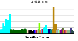 PBB GE RAD17 210826 x at tn.png