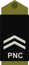 Congo-kinshasa-police 04.gif