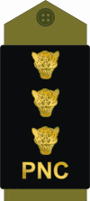 Congo-kinshasa-police 14.gif