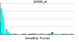 PBB GE TNFRSF1B 203508 at tn.png