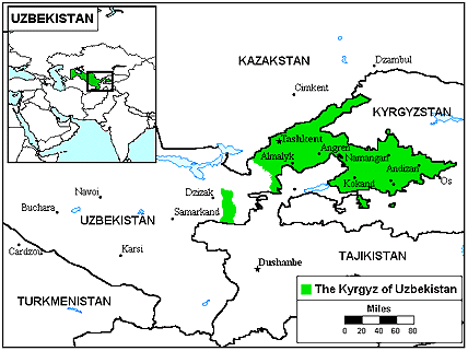 Киргизы в Узбекистане