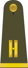 Mexican Military Teniente.gif