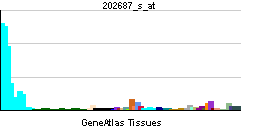 PBB GE TNFSF10 202687 s at tn.png