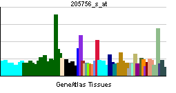 PBB GE F8 205756 s at tn.png