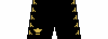 Kit shorts venezia2122H.png