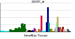 PBB GE ITGAV 202351 at tn.png
