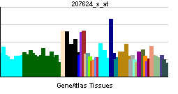 PBB GE RPGR 207624 s at tn.png