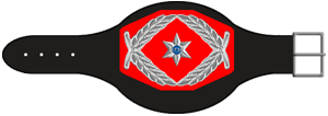 Police-NCO-1980-3.png