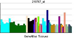 PBB GE NF2 210767 at tn.png