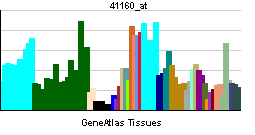 PBB GE MBD3 41160 at tn.png