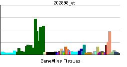 PBB GE SDC3 202898 at tn.png
