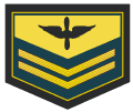 Sargento 1(Staff Sergeant).gif