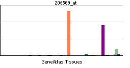 PBB GE LAMP3 205569 at tn.png