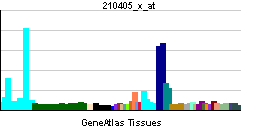 PBB GE TNFRSF10B 210405 x at tn.png