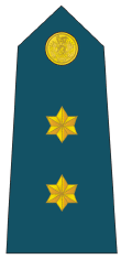 Teniente De Avación (First Lieutenant).gif