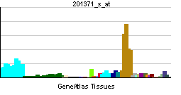 PBB GE CUL3 201371 s at tn.png