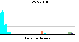 PBB GE ITGB2 202803 s at tn.png