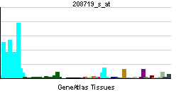 PBB GE DDX17 208719 s at tn.png