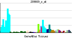 PBB GE SERBP1 209669 s at tn.png