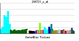 PBB GE ANAPC5 208721 s at tn.png