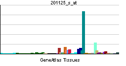 PBB GE ITGB5 201125 s at tn.png