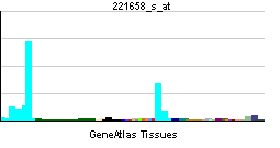 PBB GE IL21R 221658 s at tn.png