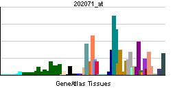 PBB GE SDC4 202071 at tn.png