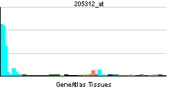 PBB GE SPI1 205312 at tn.png