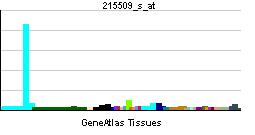 PBB GE BUB1 215509 s at tn.png