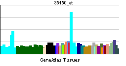 PBB GE CD40 35150 at tn.png