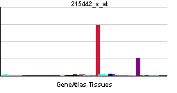 PBB GE TSHR 215442 s at tn.png