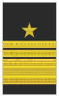 Vice Almirante (Vice Admiral).gif