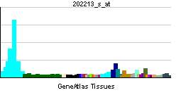 PBB GE CUL4B 202213 s at tn.png