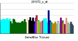 PBB GE CUL3 201372 s at tn.png